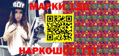 прущие грибы Будённовск