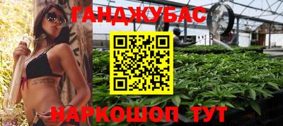 прущие грибы Будённовск