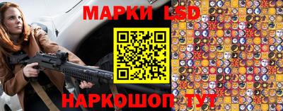 прущие грибы Будённовск