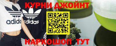 прущие грибы Будённовск