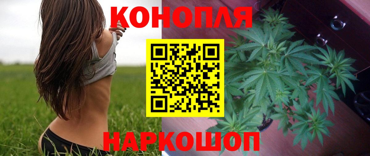 Шишки марихуана семена  Вход с VPN  Тихорецк  Канабис AK-47 
